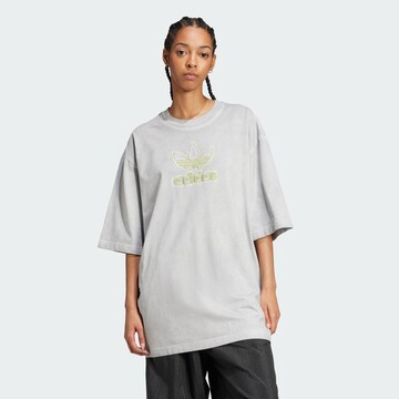 ADIDAS ORIGINALS Тениска 'Adilenium Season 2' в сиво: отпред