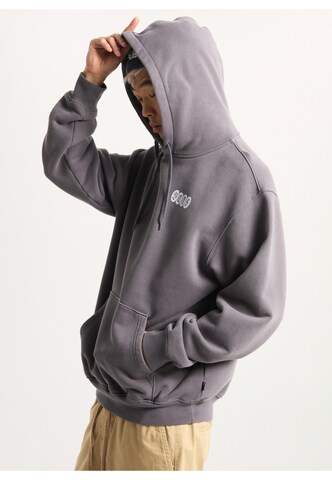 VANS Sweatshirt 'Earthbound' in Grey