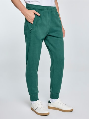BIG STAR Tapered Trousers 'Kersyn' in Green