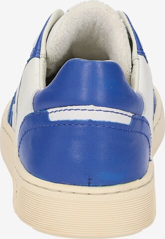 SIOUX Sneakers laag 'Tedroso-DA-700' in Blauw