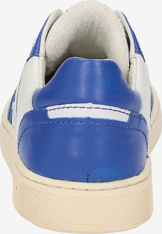 SIOUX Sneakers 'Tedroso-DA-700' in Blue