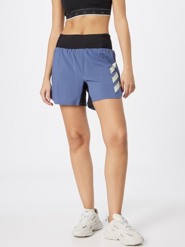 ADIDAS TERREX Regular Workout Pants 'Agravic' in Blue: front