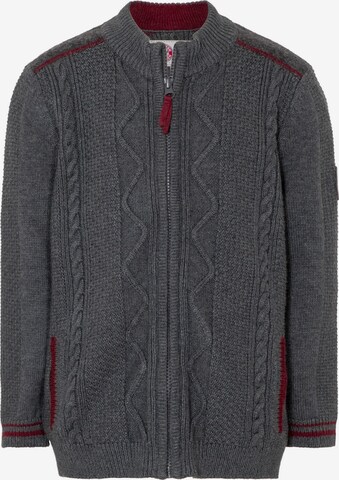 SPIETH & WENSKY Knit Cardigan 'FCB - Timo' in Grey: front