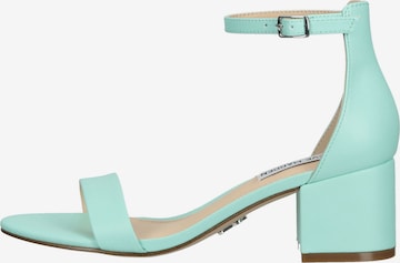 STEVE MADDEN Sandalen met riem in Groen