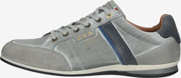 Sneaker bassa di PANTOFOLA D'ORO in grigio