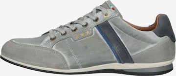 Baskets basses PANTOFOLA D'ORO en gris