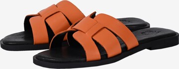 Apple of Eden Mules 'ALYCIA' in Orange