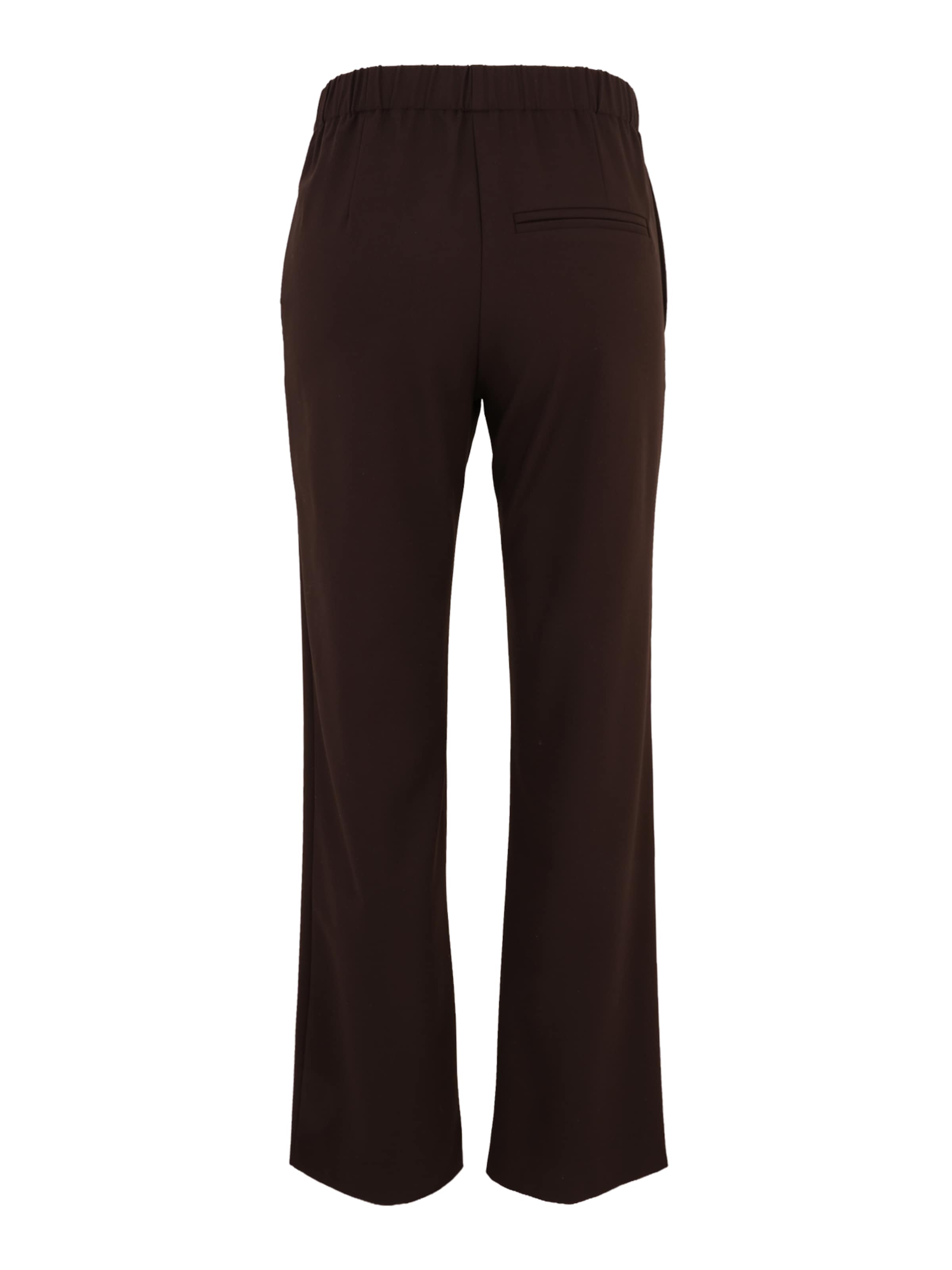 regular Pantaloni 'HOYS' di Samsøe Samsøe in marrone