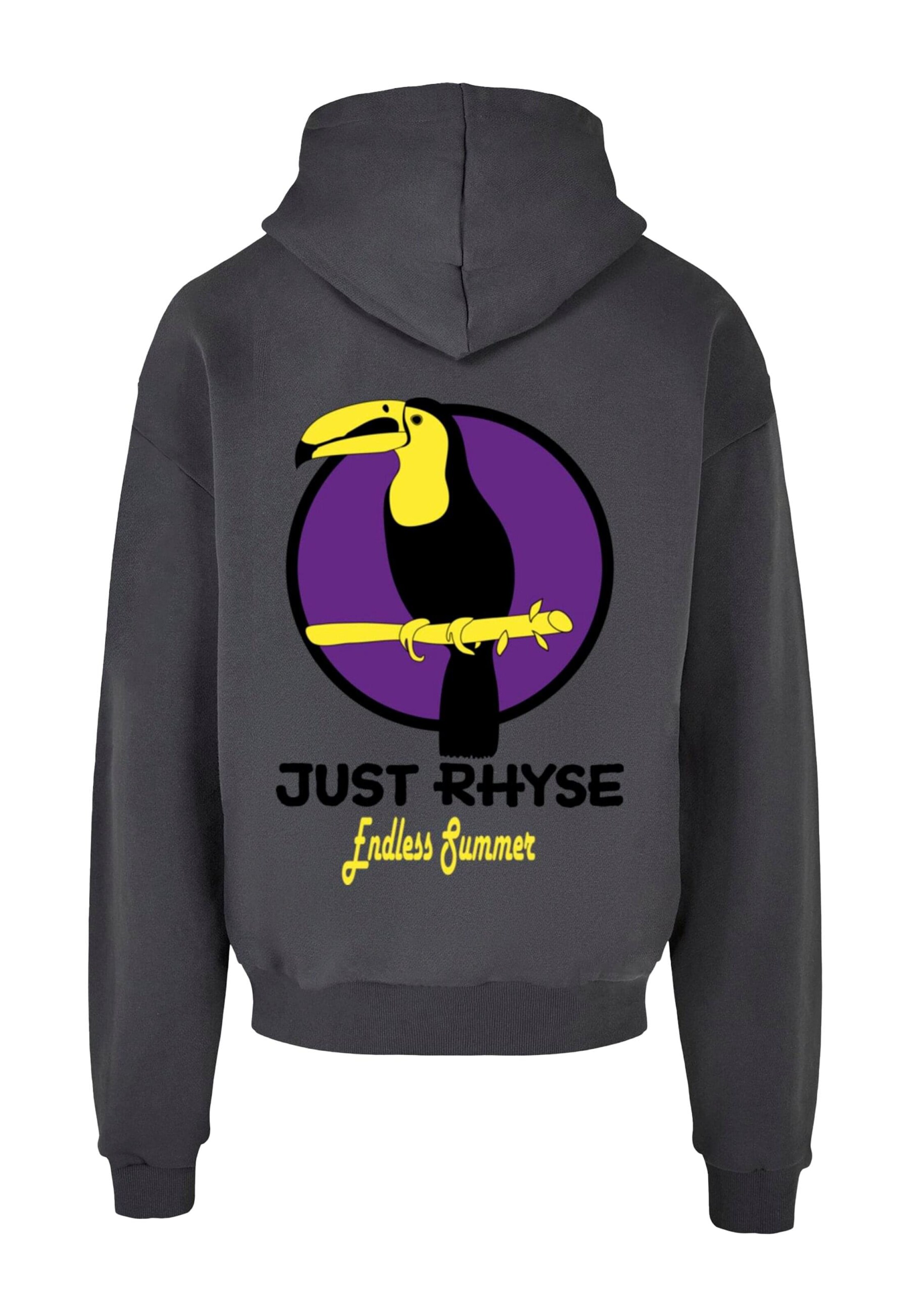 Just Rhyse Sweatshirt 'Tucan' in Grijs: voorkant