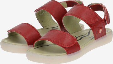 Softinos Sandalen met riem in Rood