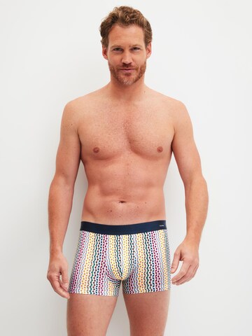 CALIDA Boxershorts 'Cotton Code Design' in Mischfarben