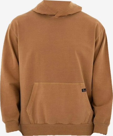 brūns Arma Sportisks džemperis: no priekšpuses