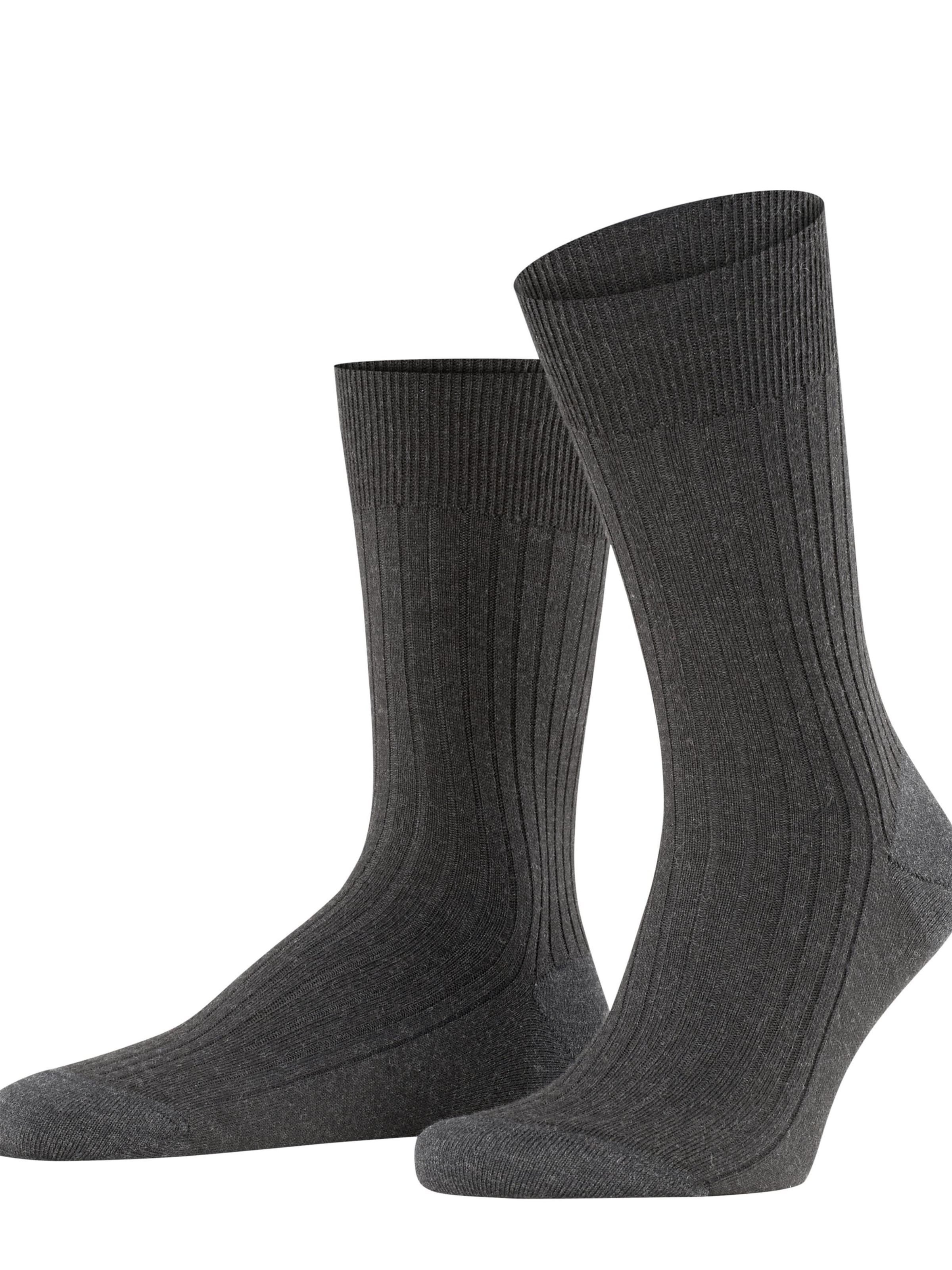 FALKE Socks 'Bristol Pure' in Grey: front