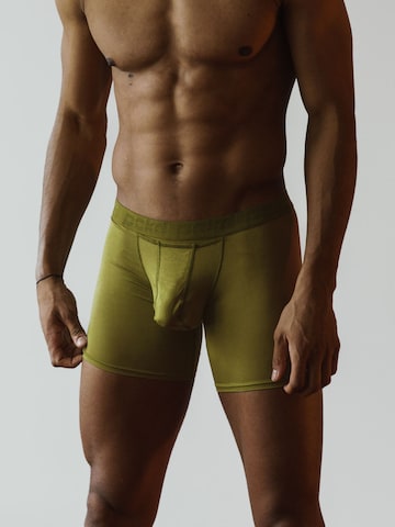pckd – underwear done right. Boxer shorts in Green: front