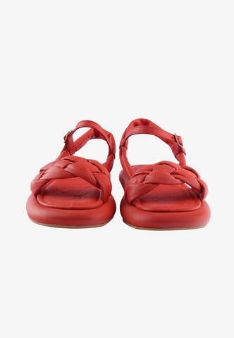 D.MoRo Shoes Sandals 'LEFORA' in Red