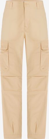 Tommy Jeans Cargo Pants 'Aiden' in Beige: front