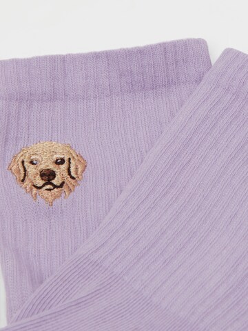 CALZEDONIA Socken 'Dog' in Lila