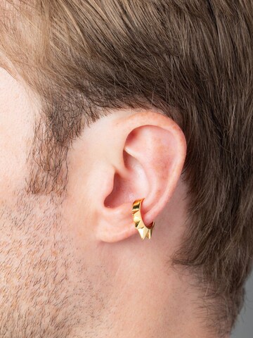 YParis Oorbellen 'Ear cuff Pike G' in Goud