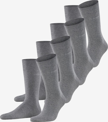 ESPRIT Socks 'Solid 4-Pack' in Grey: front
