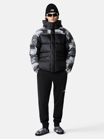 THE NORTH FACE Regular fit Χειμερινό μπουφάν 'HMLYN ' σε μαύρο