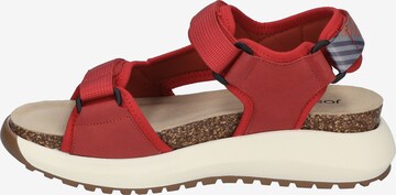 JOSEF SEIBEL Sandals 'Annie 01' in Red