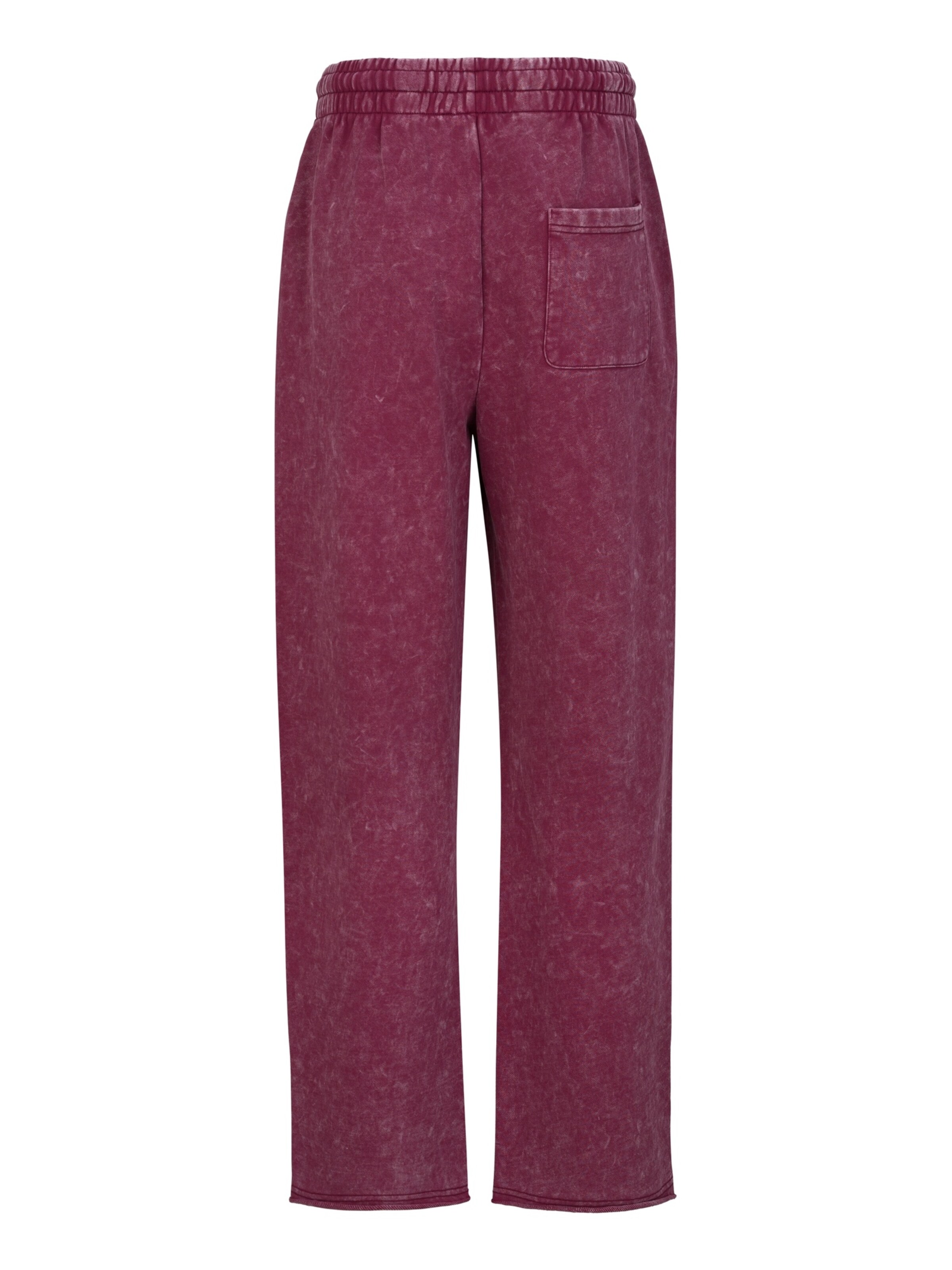 19V69 ITALIA Tapered Sportbroek in Rood: terug