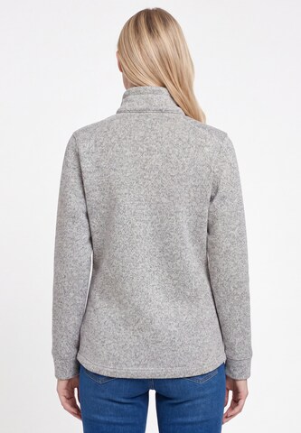 Veste en polaire Schmuddelwedda en gris