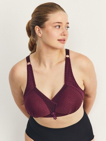 Soutien-gorge C&City en violet : devant