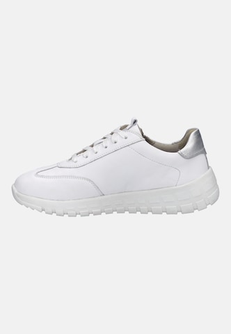 JOSEF SEIBEL High-top trainers 'Gabby 01' in White