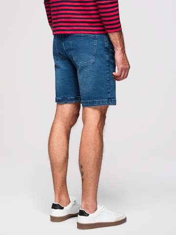 Ombre regular Jeans i blå