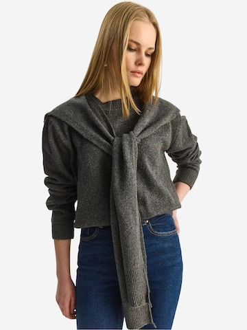 Bianco Lucci Kampsun 'Pullover', värv hall: eest vaates
