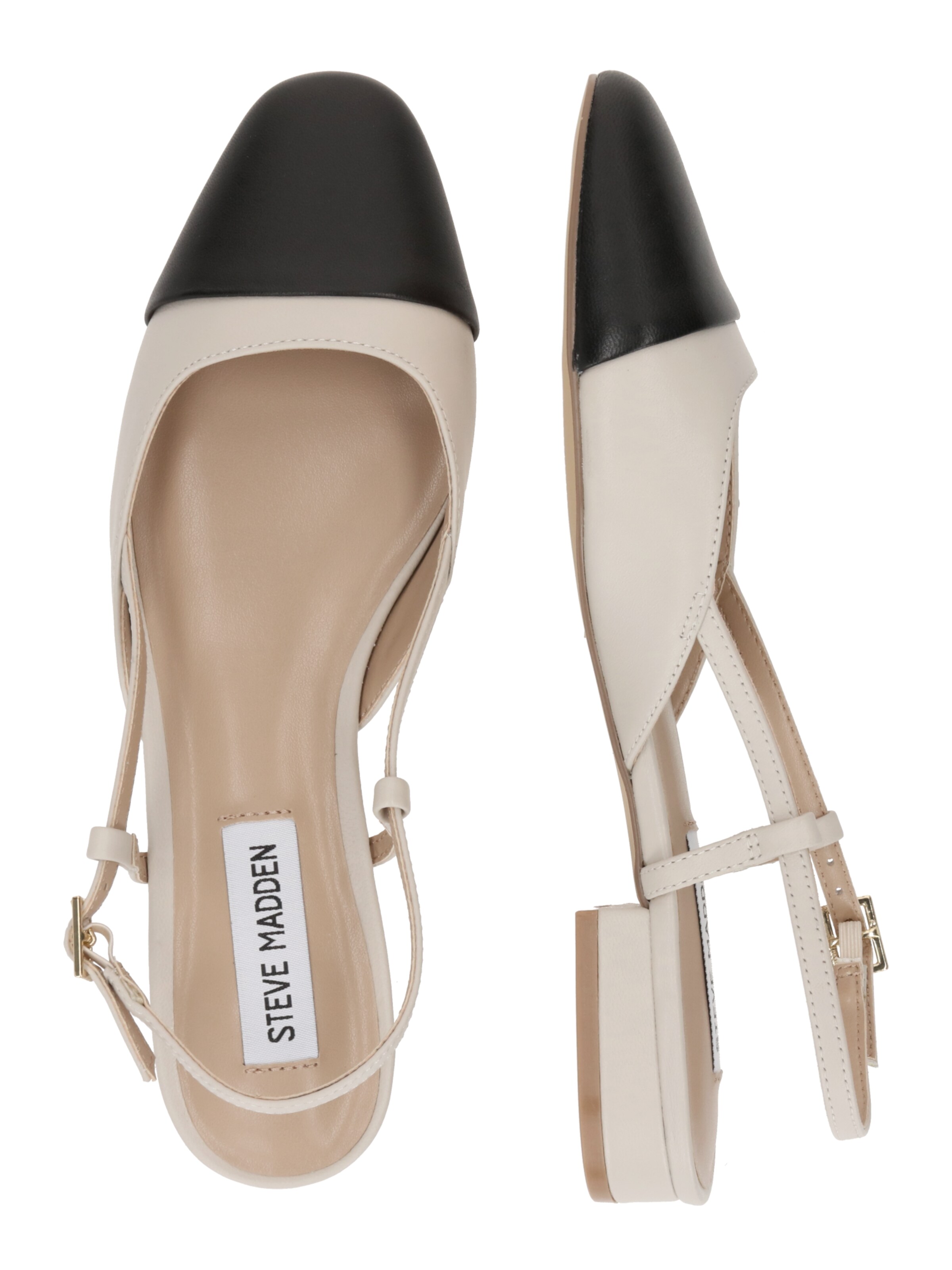 STEVE MADDEN Odprte balerinke 'BELINDA' | siva barva
