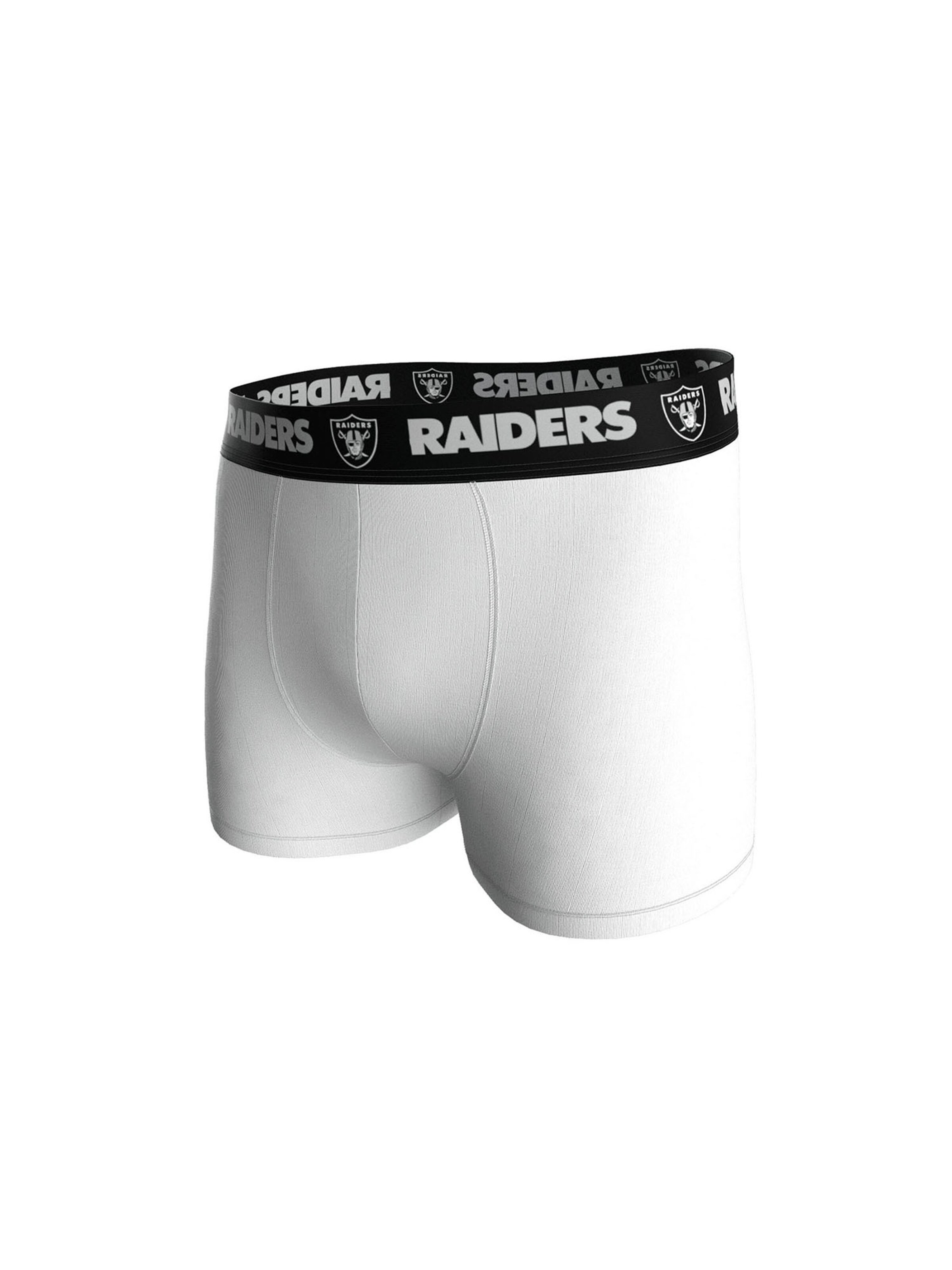 Huddle Boxer shorts 'Las Vegas Raiders' in Grey