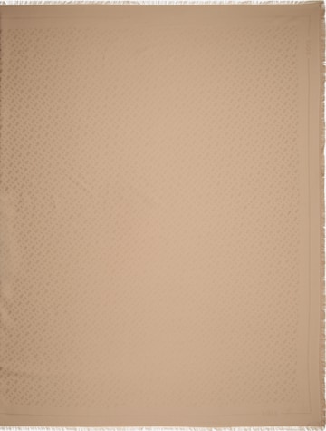 Écharpe 'Ledonia' BOSS en beige : devant
