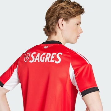 ADIDAS PERFORMANCE - Camiseta de fútbol 'Benfica 25/26' en rojo