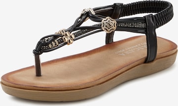 LASCANA T-Bar Sandals in Black: front