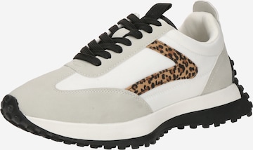 STEVE MADDEN Madalad ketsid 'Dasherr', värv valge: eest vaates