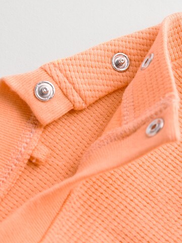 Next Set in Orange