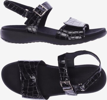 MEPHISTO Sandals & High-Heeled Sandals in 39 in Black: front