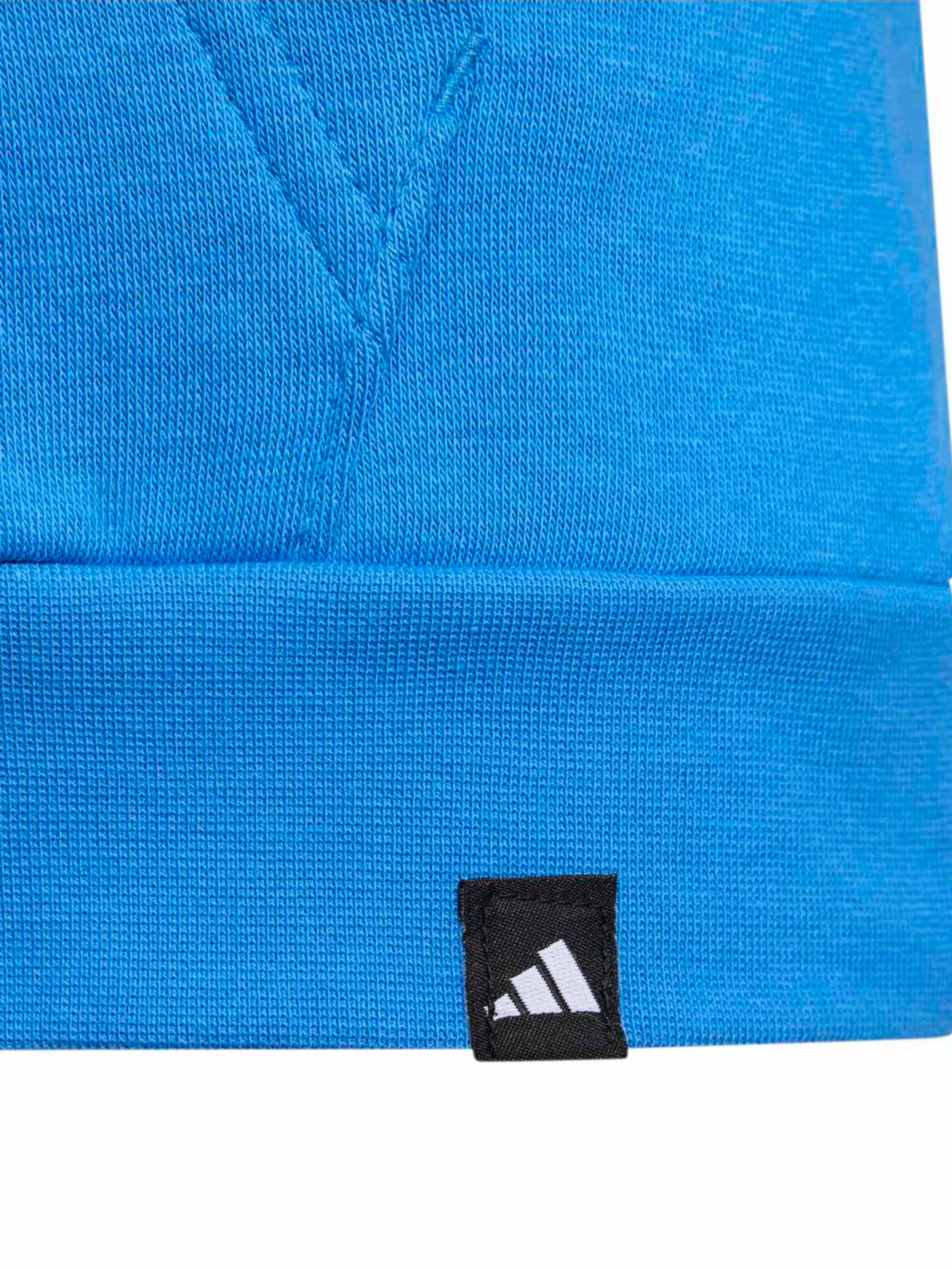 ADIDAS TERREX Urheilullinen collegepaita värissä sininen