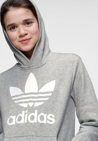 ADIDAS ORIGINALS Sweatshirt 'Trefoil' in Grey