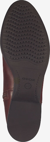 GEOX Stiefel in Braun