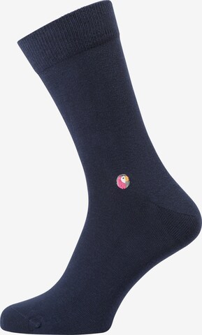 Sokid Socks in Blue