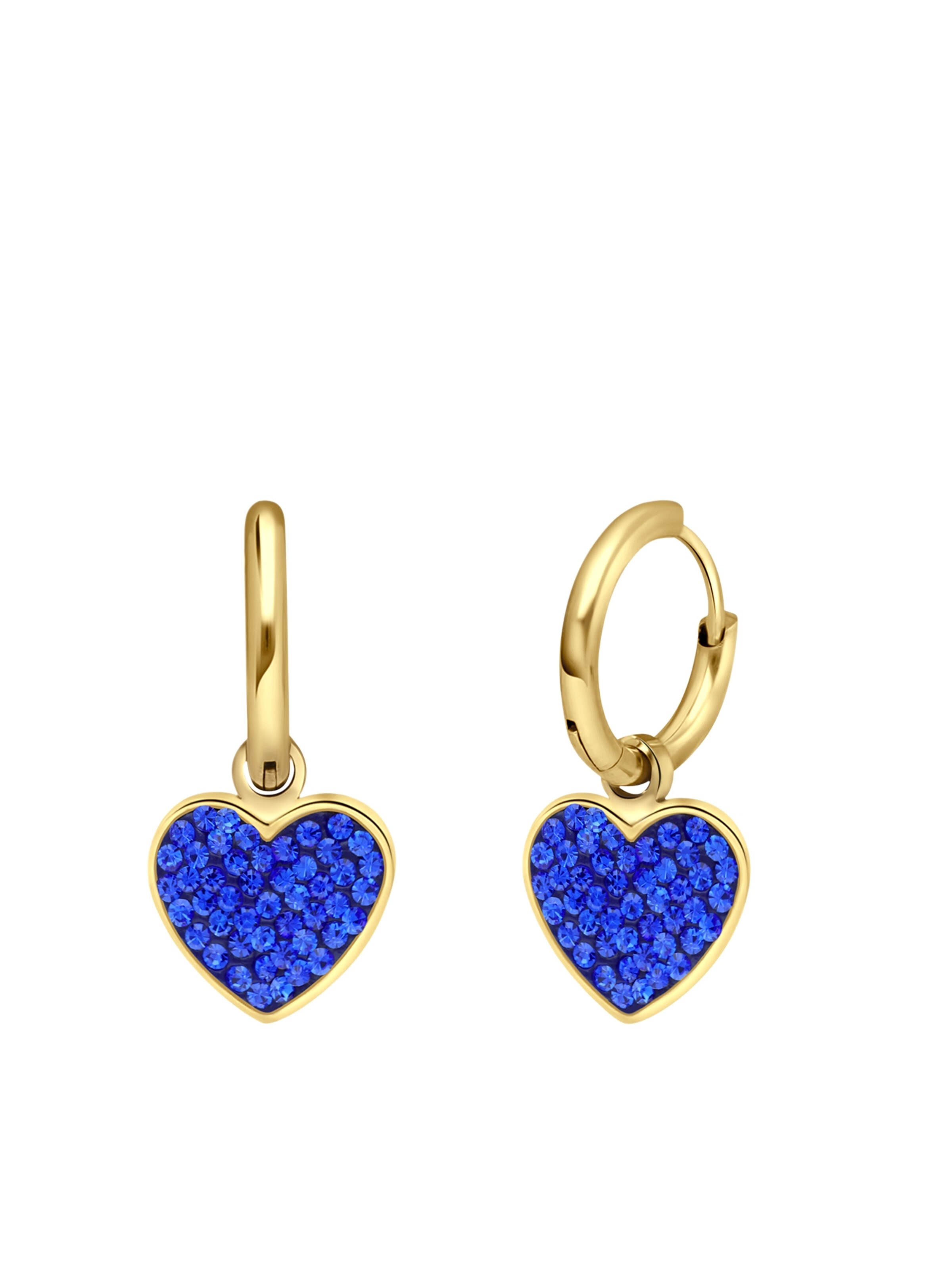 Boucles d'oreilles Lucardi en or : devant