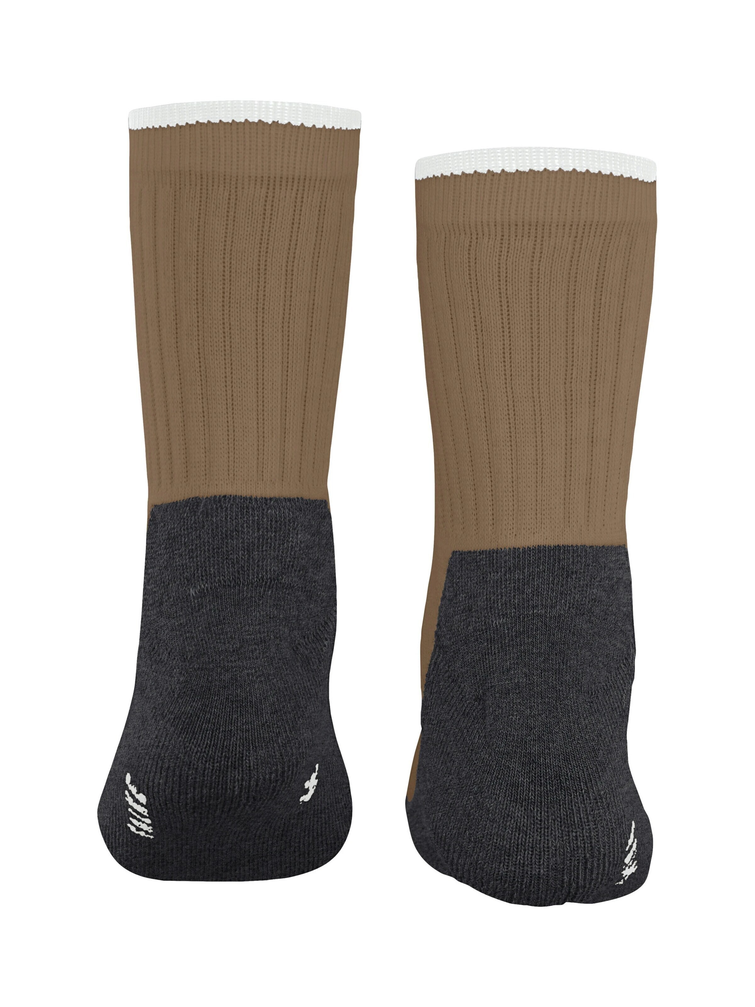 FALKE Socks 'Active Everyday' in Beige