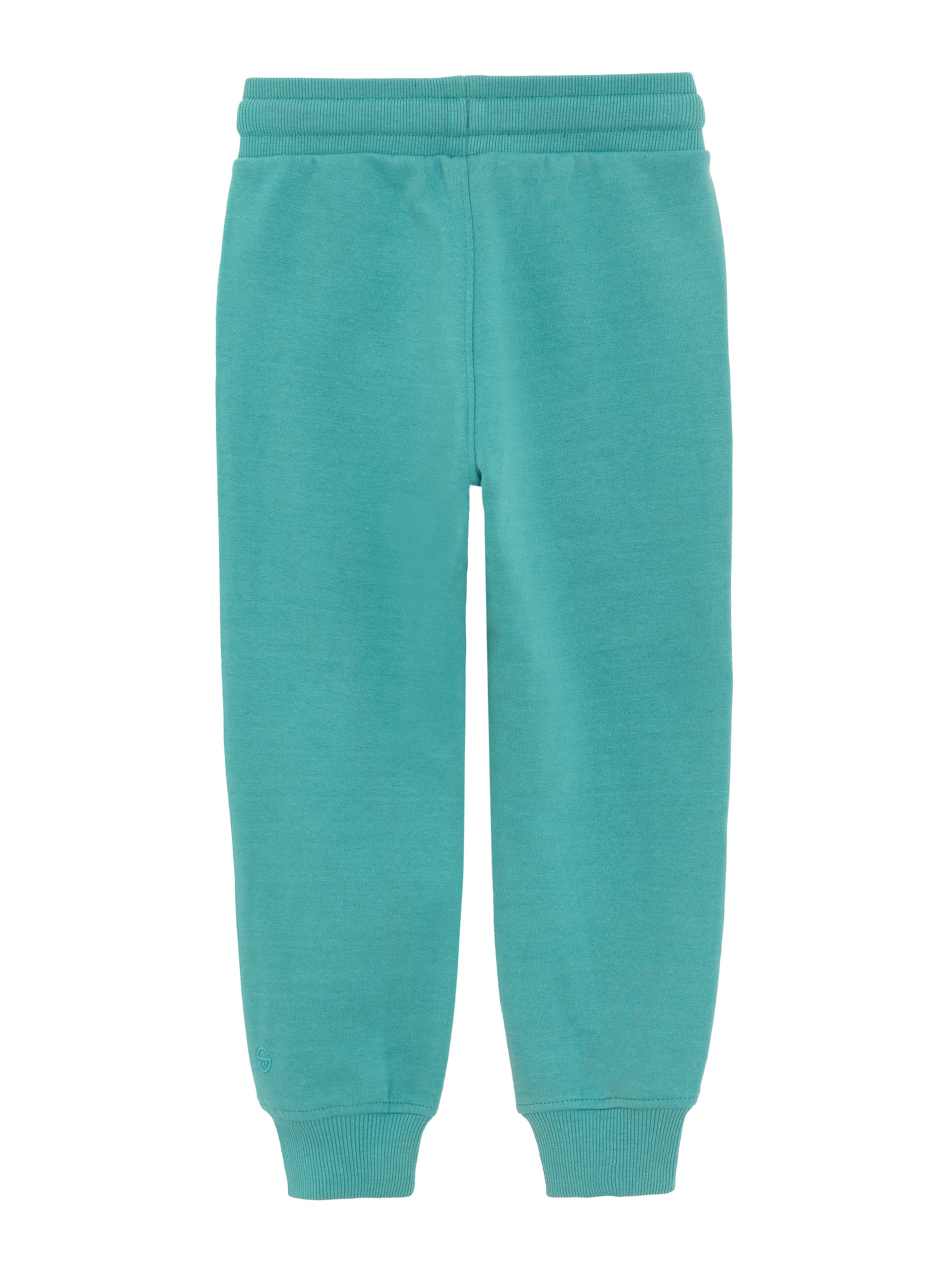 Cool Club - regular Pantalón en verde: atrás