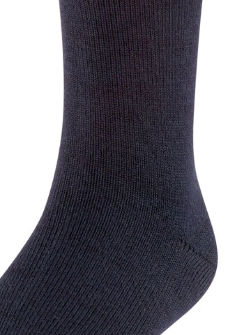FALKE Socks 'Comfort Wool' in Blue