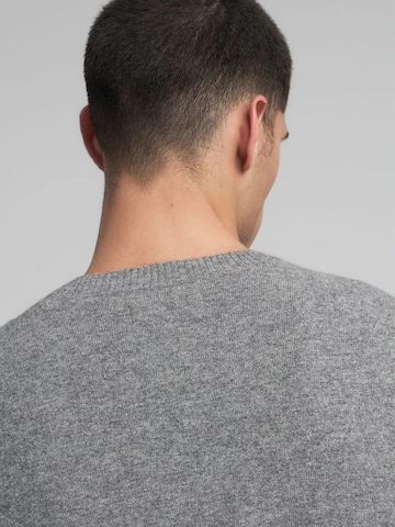 REPLAY Pullover‌‌‌‌‌‌‌ in Grau