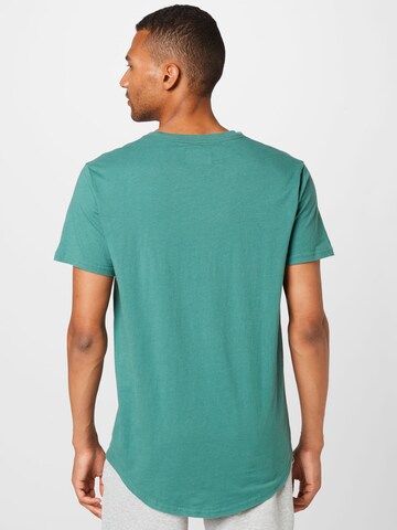 HOLLISTER Shirt in Groen