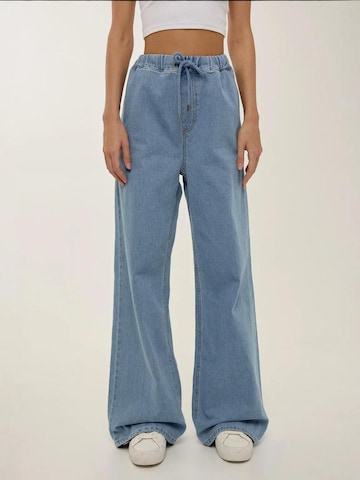 Wide leg Jeans di Hiccup in blu: frontale